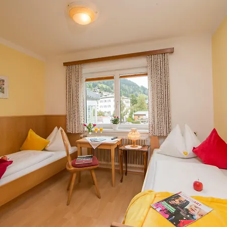 ペンション フベルトゥス 3*